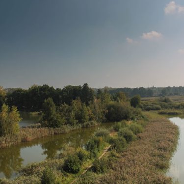 De Wijers Zonhoven