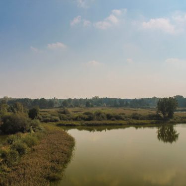 De Wijers Zonhoven