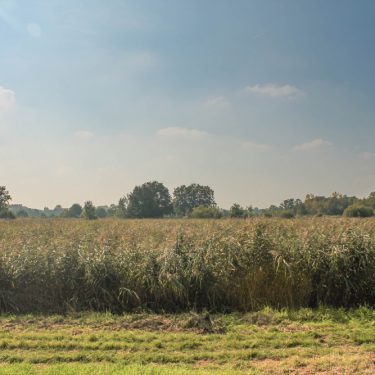 Wandelen in Limburg