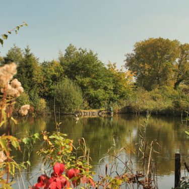 Vijvers De Wijers Zonhoven