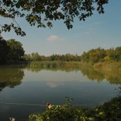 Wandelen in Limburg De Wijers Zonhoven