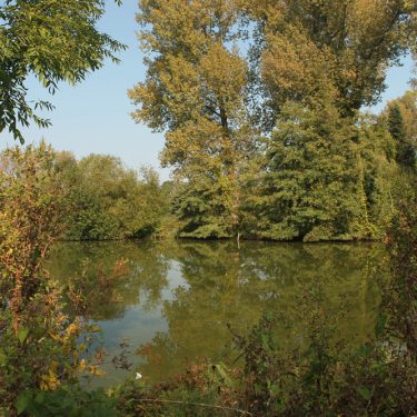 Wandelen in Limburg De Wijers Zonhoven