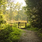 Wandelen in Limburg De Wijers