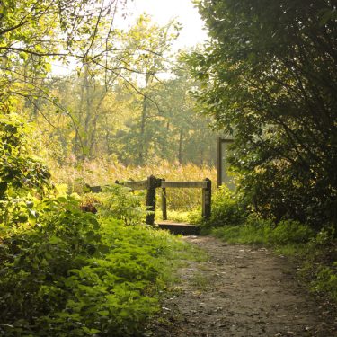 Wandelen in Limburg De Wijers