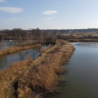 Vijvers wandelen Limburg